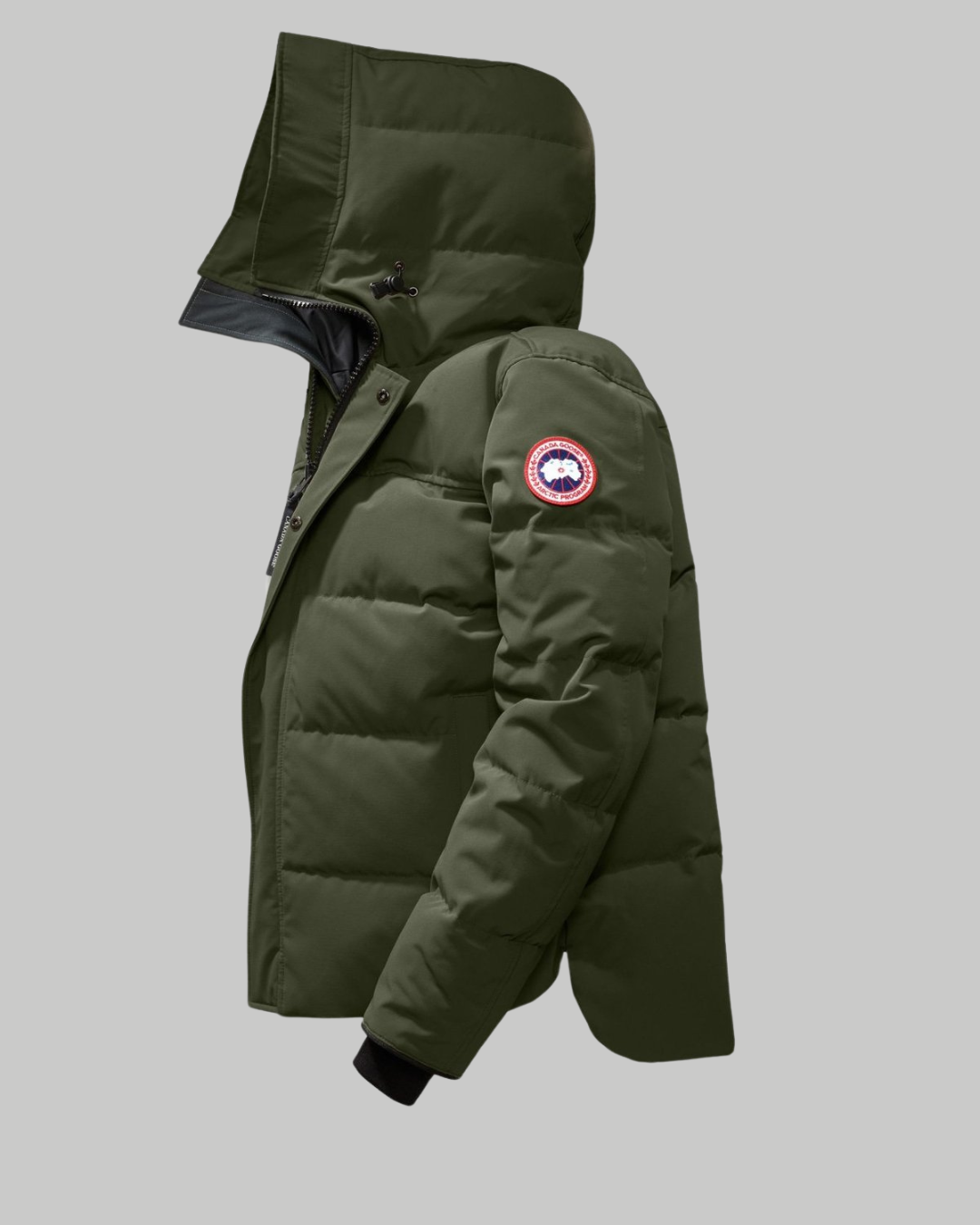 Abbott Hoody - Puffer Jacket